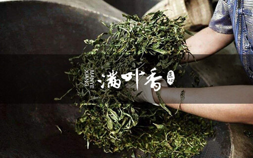 品牌茶葉公司網站建設案例 - 武夷山市滿葉香茶業有限公司