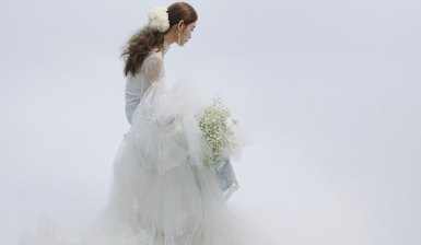 梦