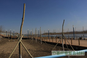 新疆伊宁河