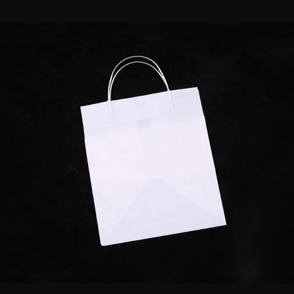 Lowest Price Custom Shape Clip Loop Handle Eco Plastic Shopping Bag Logo