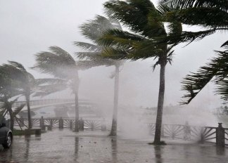 “利奇马”成今年风王 强风暴雨将影响9省市