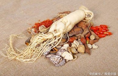 中国传统文化——中药文化