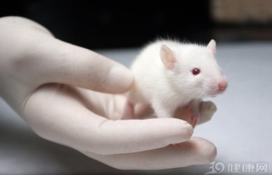 听说动物不得癌症？它们的“抗癌秘密”，对人类有用吗？