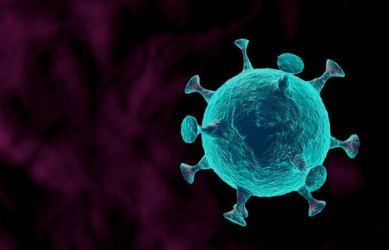 印度发现的变异新冠病毒已扩散 44个国家和地区检测到相关样本