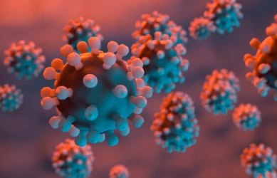 新冠病毒英国变种B.1.1.7于2020年12月传入美国，并迅速传播