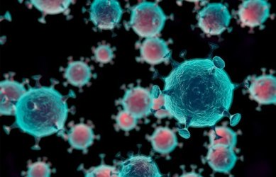 新冠病毒检测阳性率从36%降至如今不到2.5% 疫情渐缓 新德里拟逐步解封