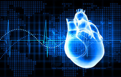 重磅！科学家开发出全球首个自组装的人类心脏类器官！