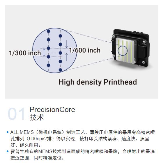 epson01