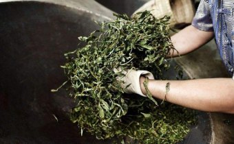 特殊时期，茶产业应该如何抗“疫”？