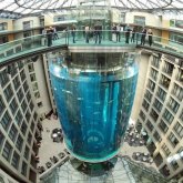 世界上最大的独立圆柱体水族馆