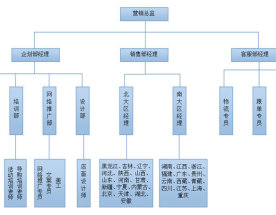 公司架构