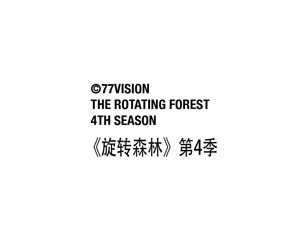 旋转森林第4季