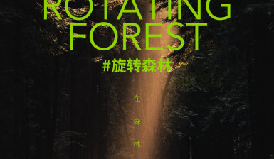 「與旋轉森林有關的一切」