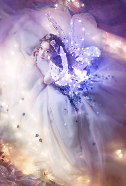 [Dream  Fairy]