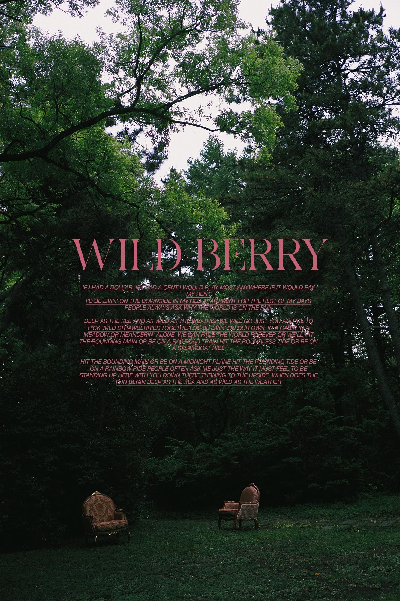 野莓-(7)